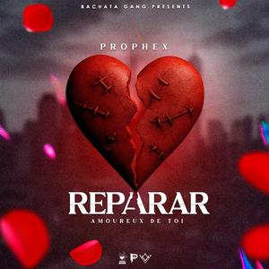 Reparar (Amoureux de toi )