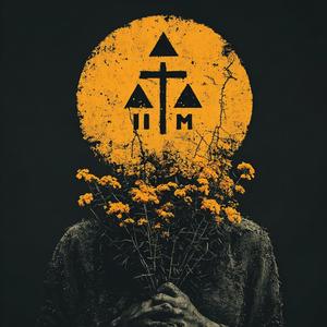 Wysed jo se łoncke kosić