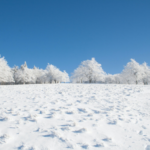 Digital Noise Therapy