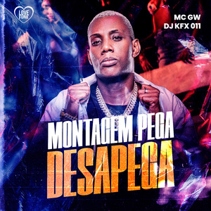 Montagem Pega Desapega