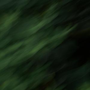 TaeY（廖超俊 / 懵aa remix）