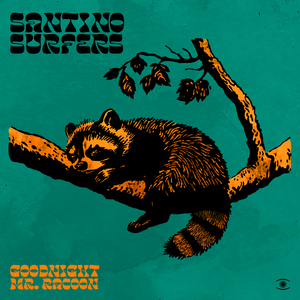 Goodnight Mr. Racoon