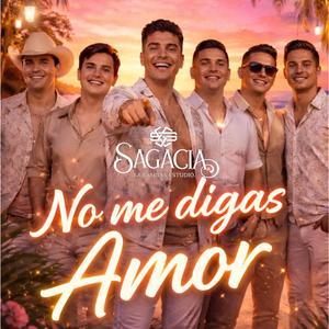NO ME DIGAS AMOR