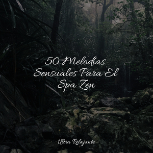 Tranquilidad Burbujeante