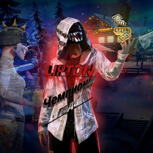 Чемпионы года