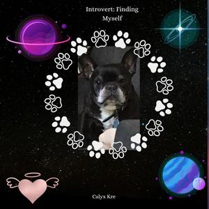 Visible (feat. Paul Junior)