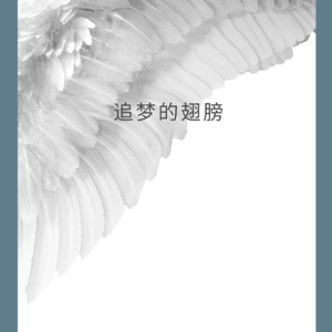 追梦的翅膀