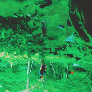 Find Your Way Back Home