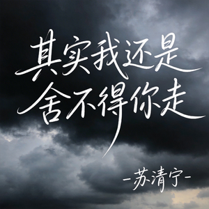其实我还是舍不得你走