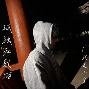 孤独和烈酒(我是=小宋）