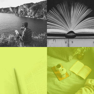 一尘不染读印象数