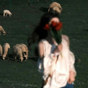 飞舞的蝶 (我想要变成逆蝶)