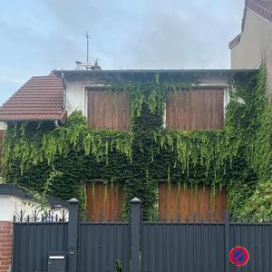 Готините момичета