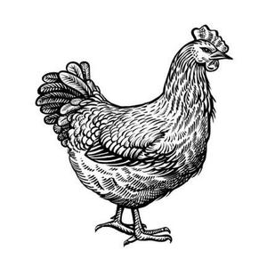 Poulets (feat. DavyStone)