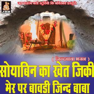 सोयाबीन का खेत जिकि मेड पर बावड़ी जिन्द बाबा || जिन्द बाबा भजन