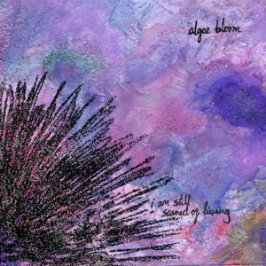 Codicil (Getting Better)