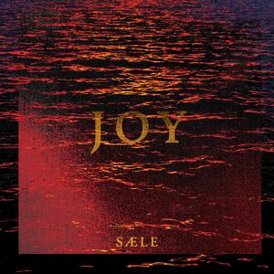 Joy