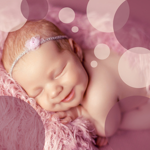 伟大的老约克公爵