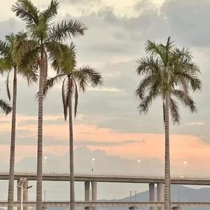 DJ瑞恩 - 七月海景原乡鼓