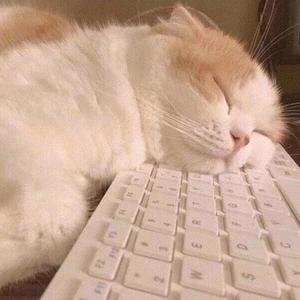 叹云兮（我会守在你身边）