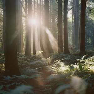 冒険のはじまり