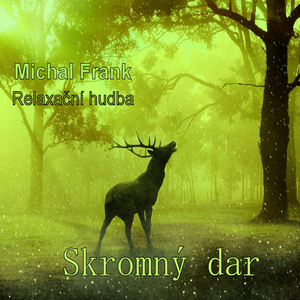 Skromný dar