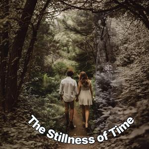 In the Traces of Time