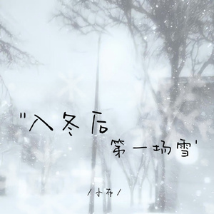 入冬后第一场雪