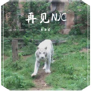 大碴子味儿freestyle