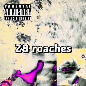 28 roaches