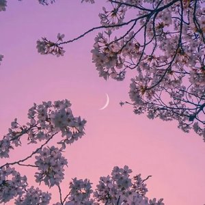 怕真心说得太满