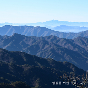 전해지길