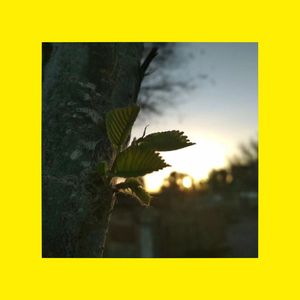 【FREE】"Summer" - Trap type beat