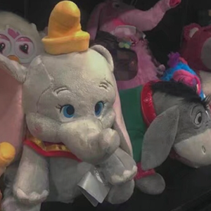 一腔诗意为了狗