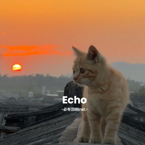 Echo (必有回响Inst.)