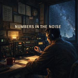Numbers In The Noise