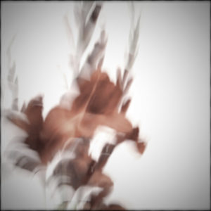 R.I.P. / Colors (Fredricson Remix)