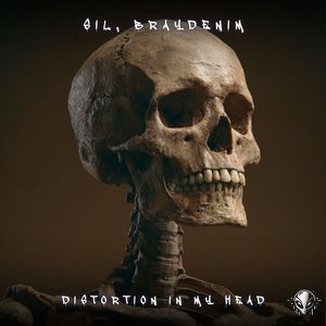 Distortion In My Head