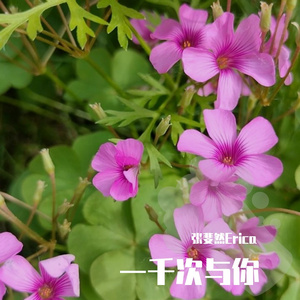 一千次与你(ProdEVOMUSIC或Siren)