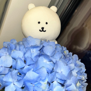 遗憾都留在过去.