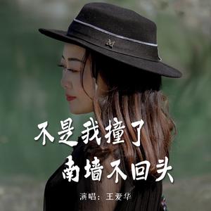 不是我撞了南墙不回头