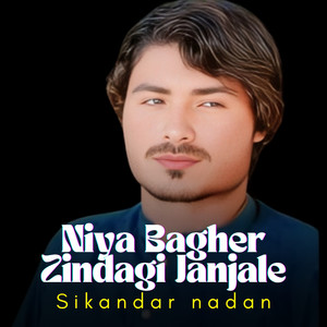 Niya Bagher Zindagi Janjale