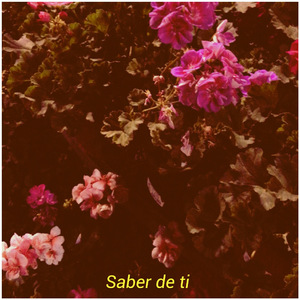 Saber de Ti