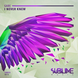 I Never Knew (Original mix)