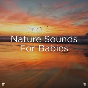 수면을위한 바다의 소리