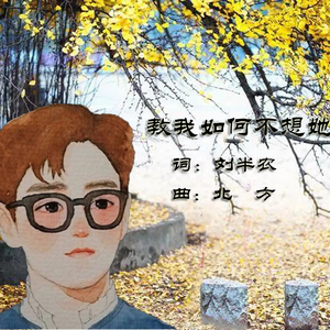 教我如何不想她