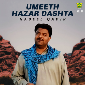 Nabi Mego Tahi Dosti