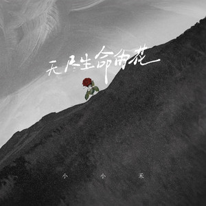 无尽生命的花 (伴奏)