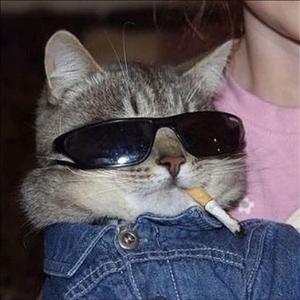 No Jumper (feat. Luci)