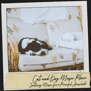 Relaxing sounds for cat